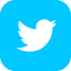 Twitter icon